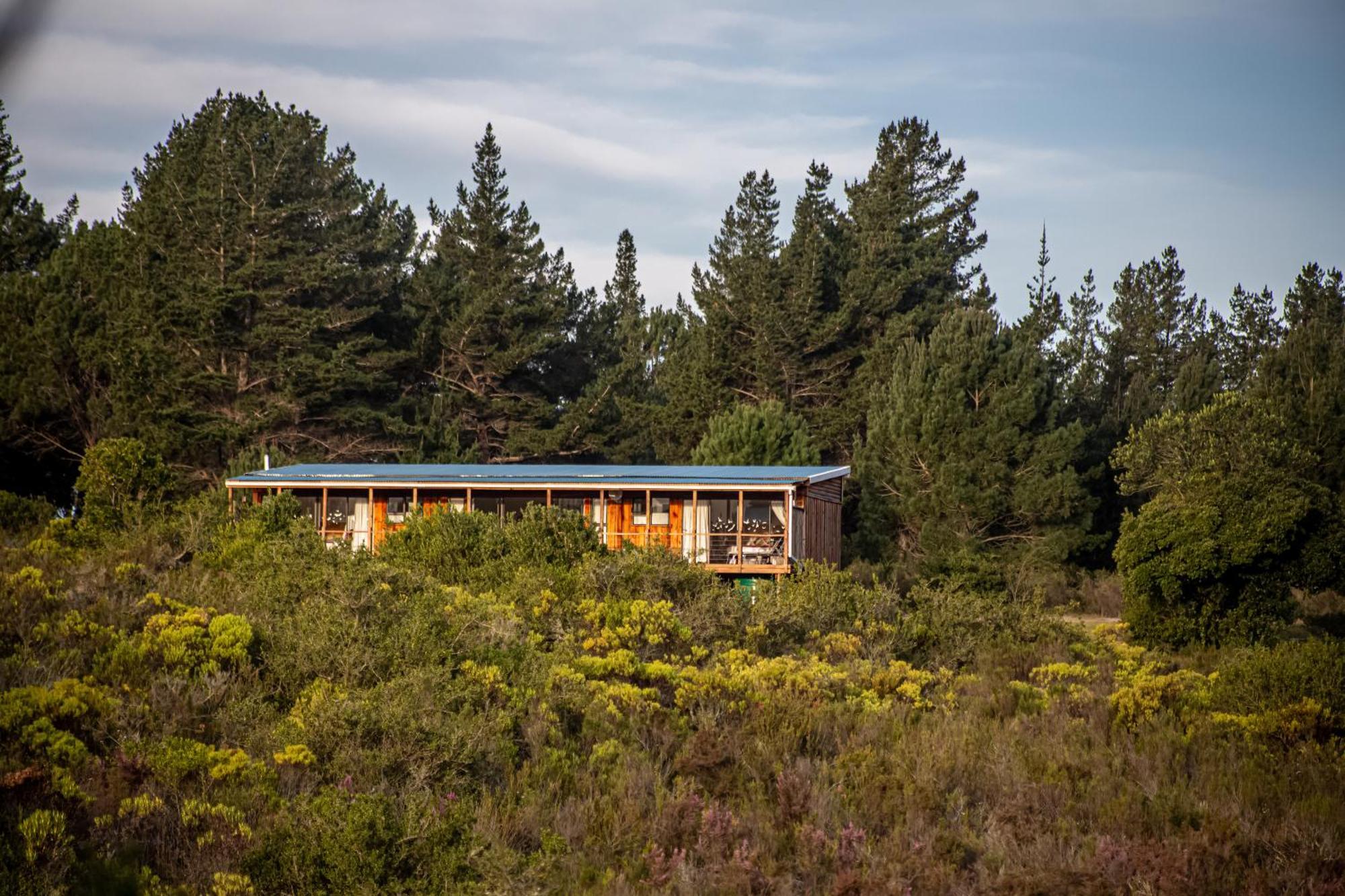 Hotel Equleni Guest Farm Sedgefield Exterior foto