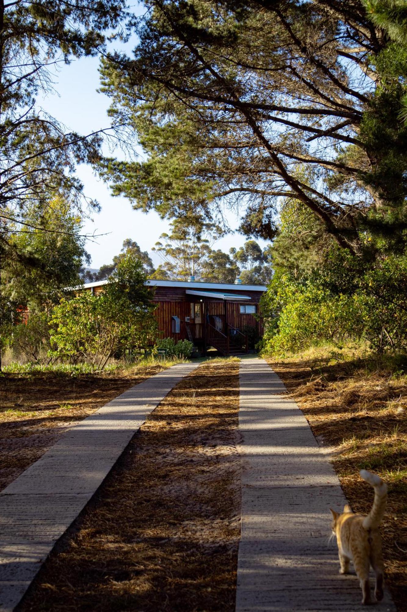 Hotel Equleni Guest Farm Sedgefield Exterior foto